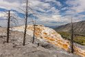 037 Yellowstone NP, mammoth hot springs